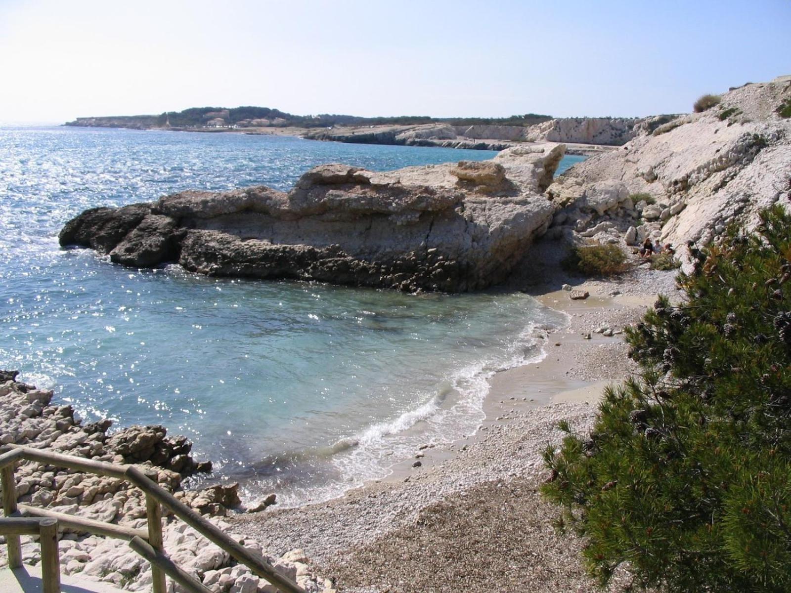 *Tiny Jungle* / Plage, Port Et Commerces A Pied Sausset-les-Pins Dış mekan fotoğraf